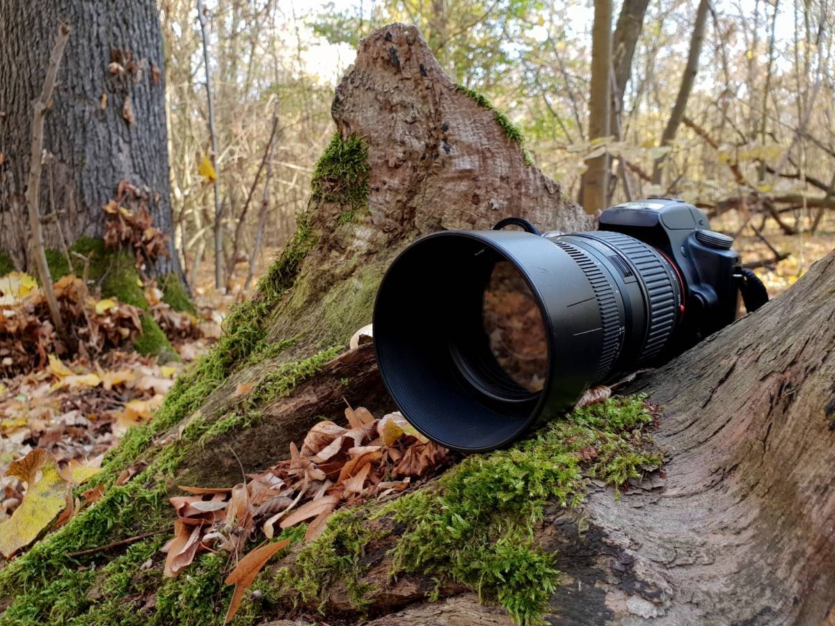 Faire de la photographie à Sarreguemines