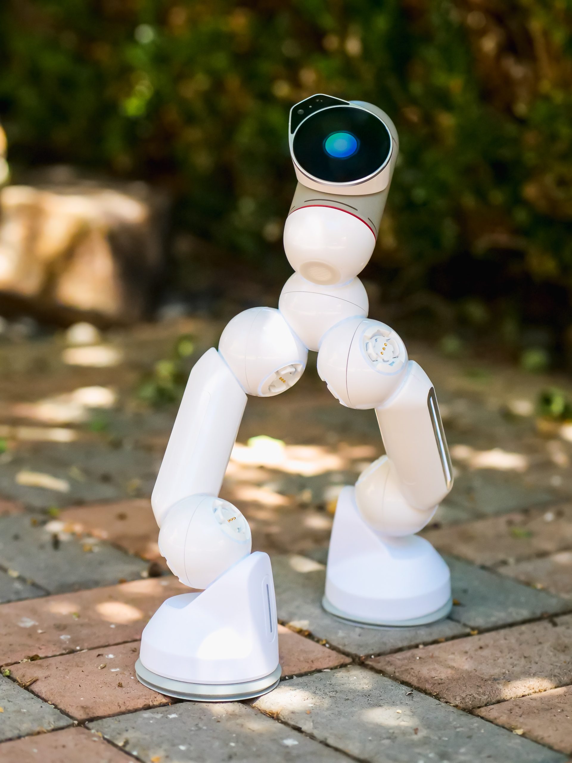Tout savoir sur le robot tondeuse