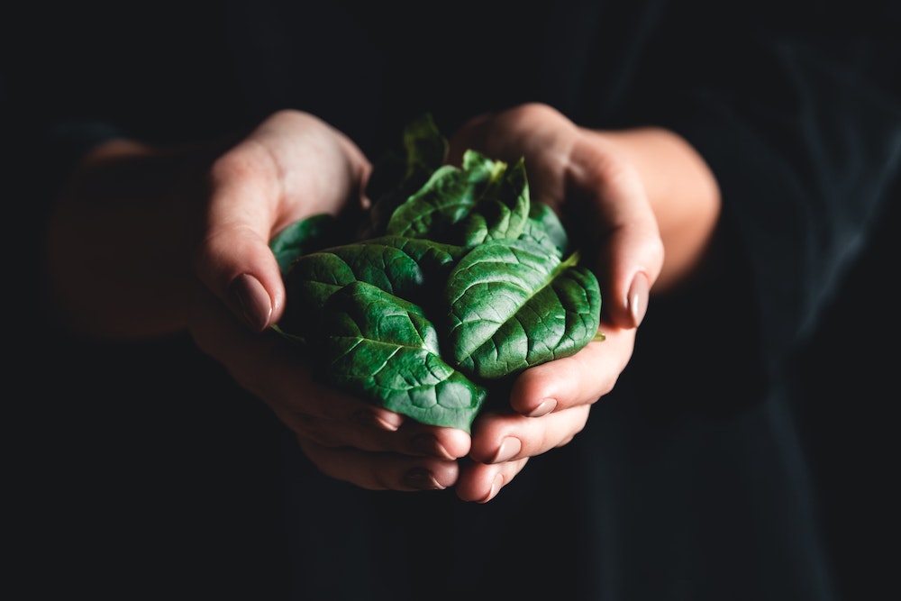 Découvrez le régime alimentaire qui ajoutera 10 ans à votre vie!