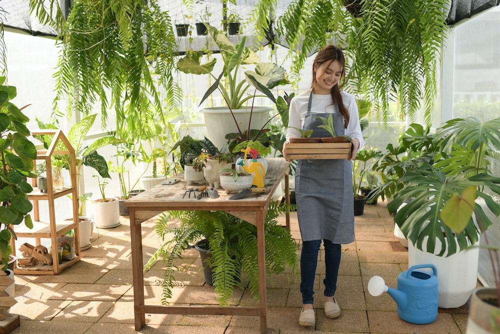 L'incroyable histoire de cet entrepreneur qui a gagné des millions grâce à des plantes