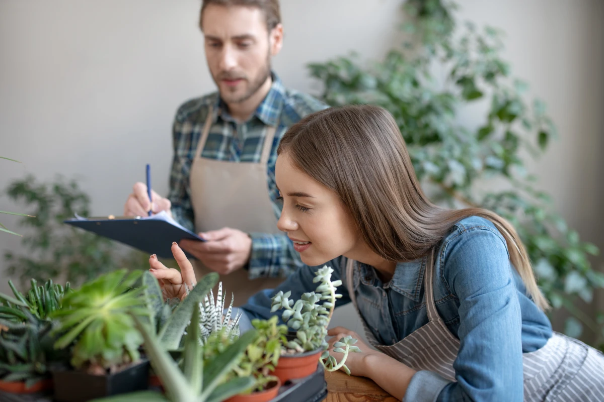 Les 3 plantes qui peuvent augmenter votre espérance de vie