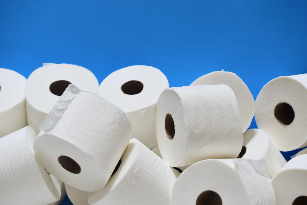 Déboucher des toilettes où l'eau remonte : les solutions pour éviter les dégâts