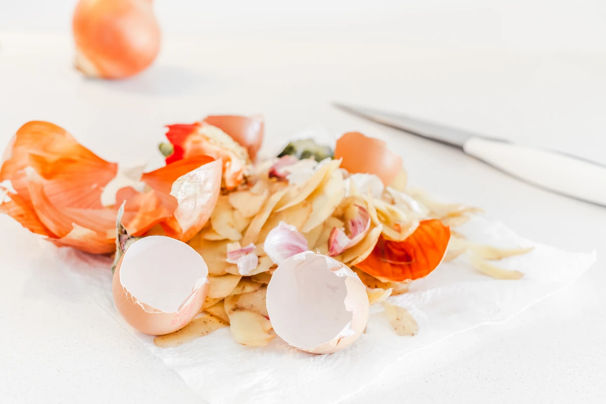 Des astuces de cuisine anti-gaspillage pour un quotidien écoresponsable
