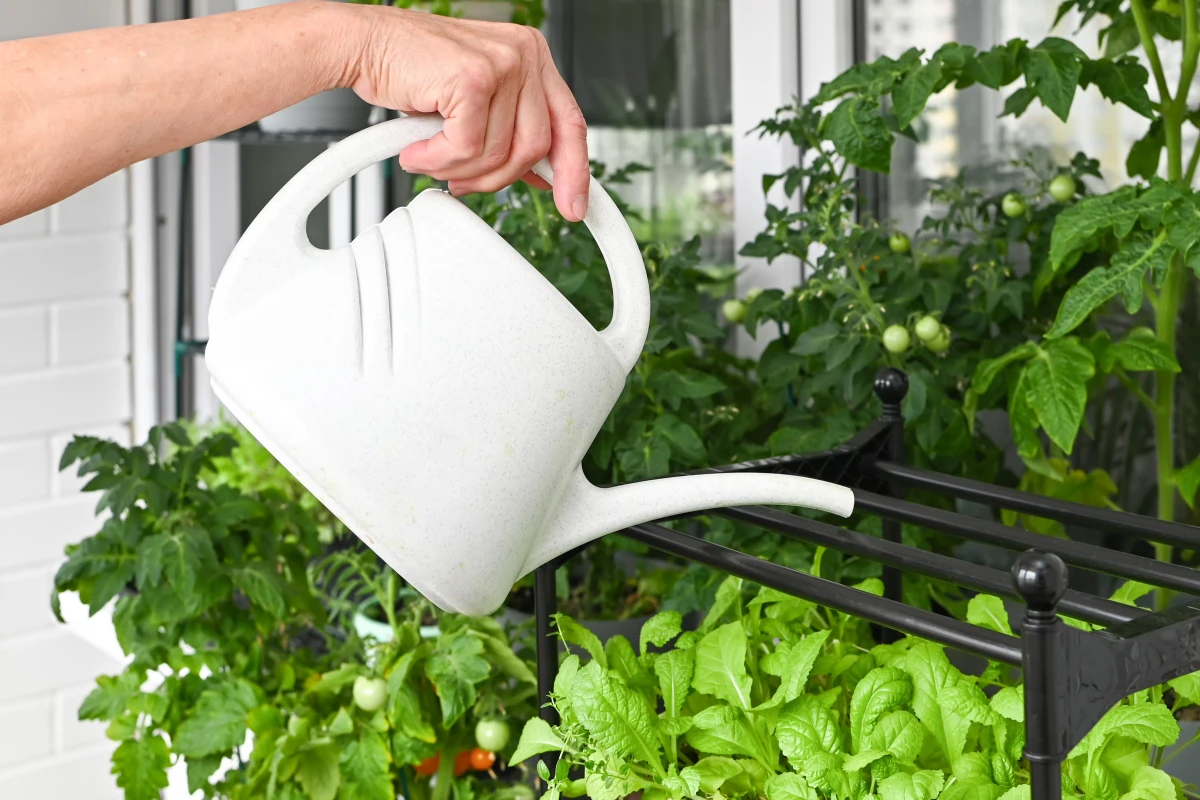 Adopter un mode de vie durable au quotidien : guide pratique et astuces