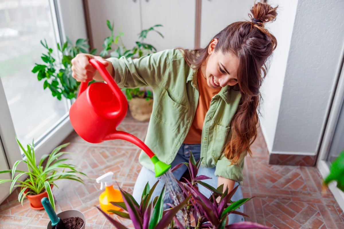 Comment souscrire une assurance logement adaptée ?
