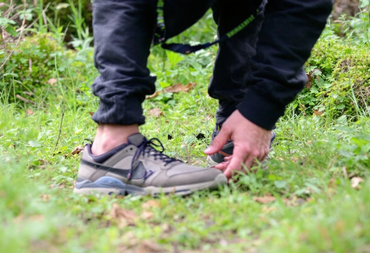 Secourir les oisillons abandonnés : guide pratique