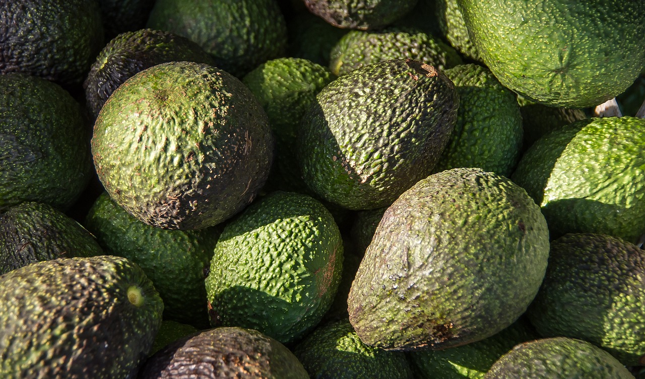 Pourquoi l'indice 1027 est essentiel pour les avocats