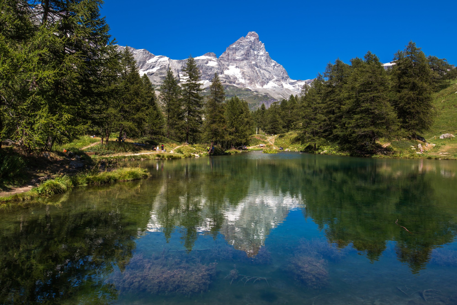 Une belle photo d'un lac reflétant les arbres sur la rive avec une montagne enneigée